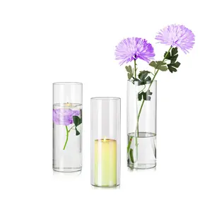 Grosir kustom mini tampilan kosong tinggi transparan bentuk silinder Valentine floorstanding kaca tabung uji vas bunga taman