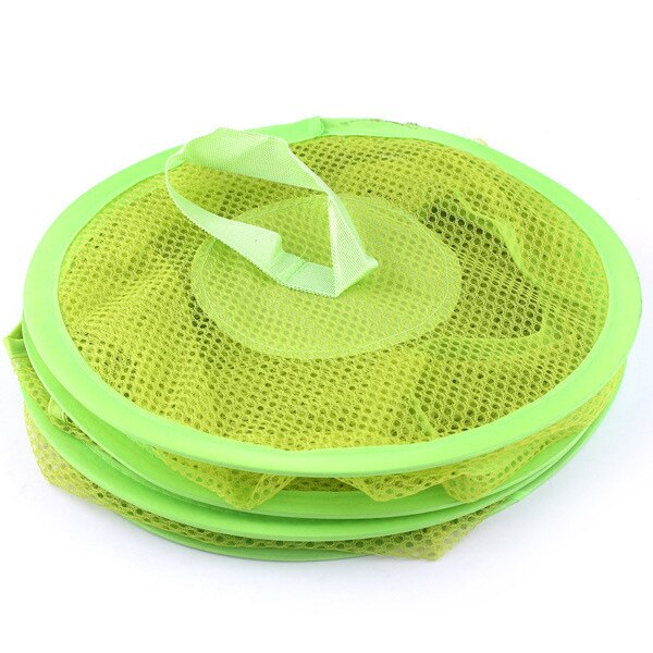 Vert