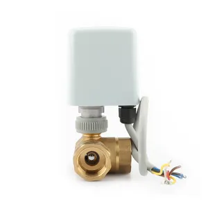 Easy-to-Operate Brass DN20 Three-Way Electric Ball Valve Driver With AC Motor