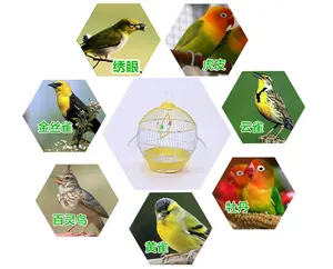 Ball Type Fancy Big Bird Cages Parrot Bird Cage Manufacturers