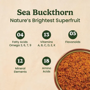 สารสกัดจากต้นซีบัคธอร์นออร์แกนิกแบบขายส่งจำนวนมาก พร้อมใบรับรองจากสหรัฐอเมริกา/สหภาพยุโรป ผงซีบัคธอร์น - Product Image 4