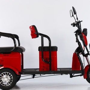 Triciclo Eléctrico de 800W 48V, de 3 Ruedas, Carrocería Abierta, para Pasajeros y Carga, para Personas Mayores, Discapacitados y Familias - Product Image 4