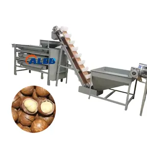 fully automatic cocoa bean chestnut sorting classify machine pine nut sieving machine