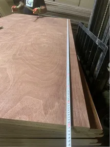 Contenitore per pavimenti in compensato 28mm 19 strati di rovere 28mm marittimo/Marineply per parti di pavimenti per Container