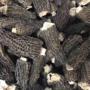 เห็ดมอเรลสีดำธรรมชาติจำนวนมากเห็ดดิบและแห้งในราคาโรงงาน - Product Image 5