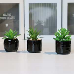 Bonsái de plantas <span class=keywords><strong>suculentas</strong></span> artificiales de cerámica natural, juego de macetas para decoración del hogar - Product Image 4
