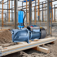 Pompe à jet haute pression modèle AC 1hp Pompe de coupe d'eau auto-amorçante en acier inoxydable et fer avec source d'alimentation électrique 75kw