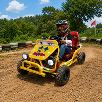 Kart électrique puissant 48V 500W pour adultes, capacité de charge de 150 kg, transmission par essieu, cadre en acier, pour la course et les sports