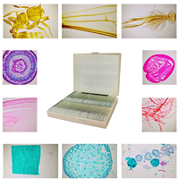 High Quality NBHG Brand Zhejiang Origin Microscope Prepared Slides S10 Slide Section of Early Gastrula Stage