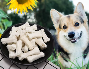 מזון יבש פרימיום ללא דגנים לכלבים בוגרים בריאים, 100% בשר טבעי - Product Image 6