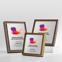 2026 Plaque d'honneur personnalisée en bois et métal avec certificat, carte d'autorisation, lettre d'hommage et de nomination