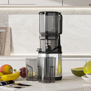 Extracteur de jus à froid à haute capacité 250W en acier inoxydable pour légumes et fruits, presse-agrumes à mastication lente avec un grand goulot - Product Image 2