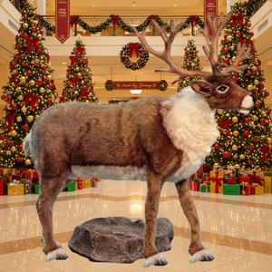 Renard animatronique grandeur nature personnalisé Haichuan pour la décoration de Noël de la maison, du <span class=keywords><strong>centre</strong></span> commercial, du <span class=keywords><strong>centre</strong></span> commercial - Product Image 2