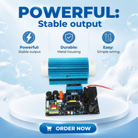 KW Dual-Luftgekühlter Einstellbarer Quarz-Ozongenerator-Kit 10G/15G/20G/30G/H Ozonmodul-Serie zur Wasseraufbereitung und Sterilisation