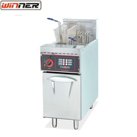 Friteuse Commerciale Électrique 1 Cuve 2 Paniers Autonome Équipement de Cuisine Professionnel Machine à Frire Poulet et Frites pour Restaurant