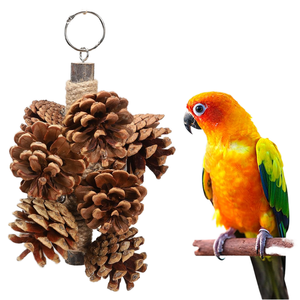 2026 New Parrot <strong>Toy</strong> <strong>Bird</strong> Supplies Pineapple Hemp Rope Bite Strands Hanging Festival <strong>Bird</strong> <strong>Cage</strong> Decoration Made of Wood - Product Image 1