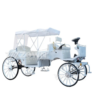ZOWN Voiture électrique de tourisme vintage de haute qualité avec auvent pour mariages et parcs d'attractions - Product Image 1