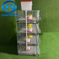 Cage à poulets de type H galvanisée robuste avec cadre renforcé et sol en plastique pour l'élevage avicole