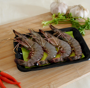 Almohadilla Absorbente para Envasado de Alimentos, Almohadilla para Carne en Bandeja, Almohadilla Absorbente - Product Image 1