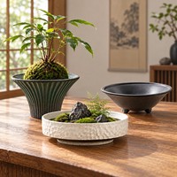 Pot de fleurs en céramique de style chinois pour boule de mousse, vase hydroponique zen pour bureau