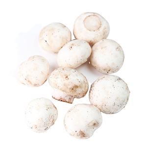 Detan טרי לבן כפתור פטריות מחיר - Product Image 1