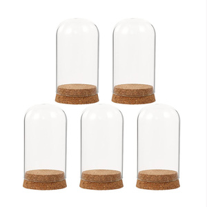 Novedad: Cúpula de <span class=keywords><strong>Cristal</strong></span> Pequeña Reutilizable con Base de Corcho, Cubierta para Exhibición de Flores, para Decoración de Fiestas, Hogar y Bodas - Product Image 1