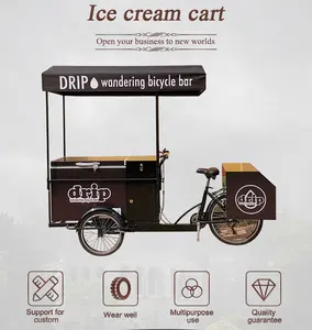 Venda de sorvete elétrico de 3 rodas, bicicleta elétrica para venda à venda, bicicleta de carga e triciclo assistido