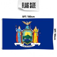 Drapeau de New York imprimé 3x5 pieds, simple face, style fanion, logo personnalisé, en vinyle polyester durable pour affichage national