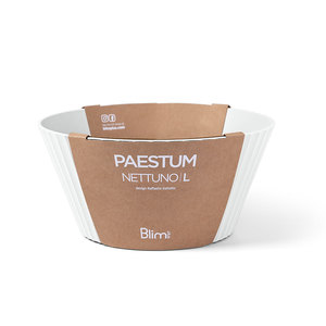 Assiettes et bols de qualité italienne blanc opaque 25cm de diamètre bol de luxe à salade en polypropylène biodégradable pour le service de soupe - Product Image 3