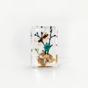 Benji SZ009 Coléoptère Vert Rose Réaliste en Résine, Spécimen Taxidermique, Collection, Artisanat, Cadeau - Product Image 5