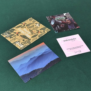 พิมพ์นามบัตรเปล่าสีขาว ขนาด 9x13 นิ้ว แบบกำหนดเอง ทำนามบัตรของคุณเอง กระดาษดูเพล็กซ์นูน พิมพ์ออฟเซ็ต สำหรับส่งทางไปรษณีย์ - Product Image 1