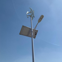 Lampadaire Solaire Hybride Éolien à Turbine 6m30W 6m 8m, Fabricant d'Usine, Poteau Galvanisé, Bon Prix, Lampadaire Solaire