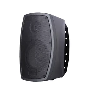 2023 Hot 30W Power Wall Speaker for commercial music