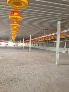 Equipo de Cría de Pollos en Plano, Sistema Automático de Avicultura, Línea de Alimentación y Bebederos para Gallineros - Product Image 2