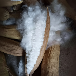 Fibre de capoc séchée entière pour nids et oreillers d'oiseaux Emballage en vrac OEM Fibre de kapok naturelle pour animaux en peluche - Product Image 1