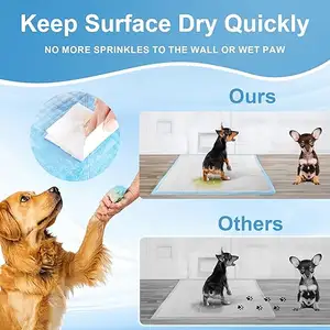 Pet Urine Absorbent Pads For Toilet Training And Animal Care