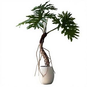 <span class=keywords><strong>Planta</strong></span> Artificial <span class=keywords><strong>Sen</strong></span> Space con Hojas de Taro y Escamas de Dragón, Decoración Minimalista para Interiores, Centros Comerciales y Salas de Estar - Product Image 1