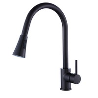 Robinet de cuisine Haijun moderne monotrou en laiton à montage sur plan avec douchette extractible, cartouche céramique, finition mate
