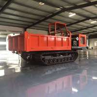 10 Tonnen Mini Spezial Crawler Dumper LXYS-10T für tropischen Dschungel Arbeits zustand Diesel Muldenkipper mit Spur