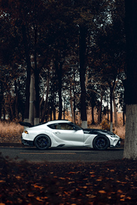 สำหรับ Toyota Supra ที่ได้รับการอัพเกรดด้วยชุดแต่งคาร์บอนไฟเบอร์ Sea Bass ประกอบด้วยกันชนหน้าและหลัง, ซุ้มล้อ, ดิฟฟิวเซอร์ และฝากระโปรงหน้า - Product Image 3