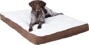 Grand lit pour chien <span class=keywords><strong>Latte</strong></span> pour caisse-Antidérapant Heavy Duty Easy Clean Solid Pattern Eco-Friendly 100% Cotton for Indoor/Outdoor Use - Product Image 2