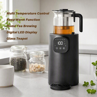Nouveau Samovar Turc Moderne Électrique Intelligent à Température Contrôlée, avec Deux Pots en Verre, Machine à Eau Chaude Sous Vide, Fourniture d'Usine