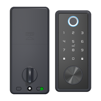 Serrure Électrique Intelligente en Alliage d'Aluminium Haute Sécurité avec Contrôle par Carte et Application, Accès sans Clé, Cloud TTlock Tuya, Carte Mémoire