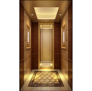 Kualitas Tinggi Harga Murah Harga Lift Penumpang Lift Rumah Dalam Ruangan Kecil Di Cina - Product Image 5