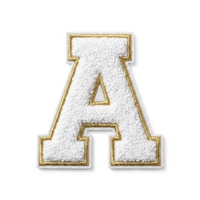 Patch en chenille personnalisé, broderie haute densité pour vêtements de sport d'équipe, 100% contrôlé qualité, transfert thermique essentiel, élégant 3D