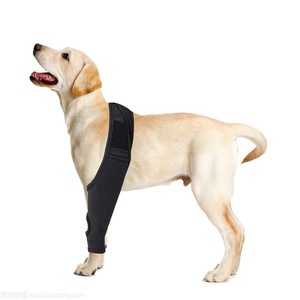 Funda de recuperación para perros y mascotas, protector de muslo para codo y pierna, envoltura para ancianos, perros pequeños y grandes, cinturón para caminar, rodillera para mascotas - Product Image 2