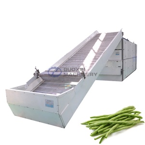 Équipement de séchage à bande maillée haute capacité pour la vente directe, idéal pour les haricots cowpea, les haricots longs et les gousses de haricots ailés - Product Image 1
