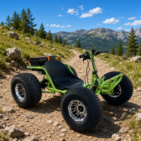 Go Kart Eléctrico Todoterreno, Mini Buggy con Manillar para Adultos, Llantas Grandes de 10 Pulgadas, Buggy de un Solo Asiento con Motor sin Escobillas y Batería de Litio