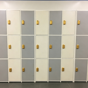 Casier en plastique étanche et résistant à l'humidité pour vestiaires, gymnases et piscines, personnalisable, prix de gros usine - Product Image 3