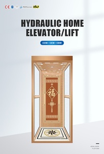 Qiyun Kinglift – ascenseur résidentiel confortable et silencieux <span class=keywords><strong>pour</strong></span> personnes handicapées avec télécommande à bon <span class=keywords><strong>prix</strong></span> - Product Image 3